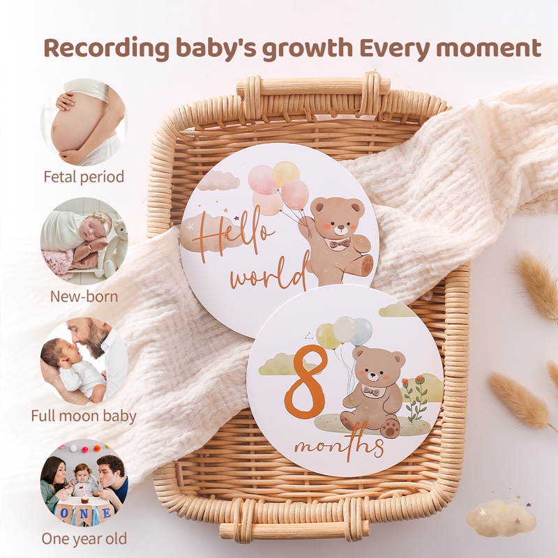Baby Paper Milestone Number Mo - đánh giá và giá Milestone Card Set
